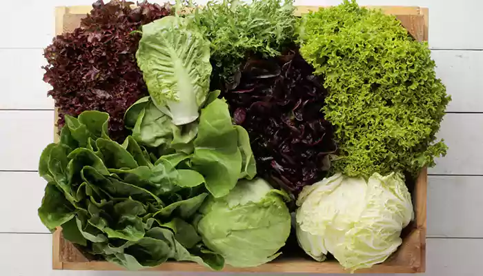 Crunch and health galore: Benefits of lettuce leaves